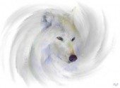 Wallpapers Animals Le loup