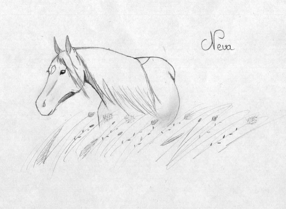 Wallpapers Art - Pencil Animals - Horses Neva