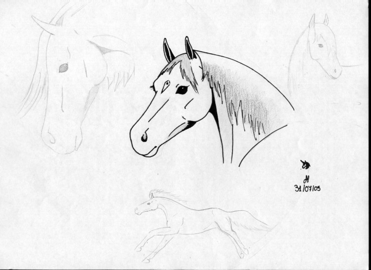 Fonds d'cran Art - Crayon Animaux - Chevaux portrait chevaux n1