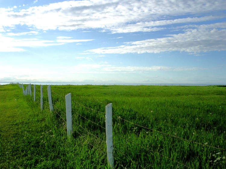 Wallpapers Nature Fields Blanche cloture et bleu ciel