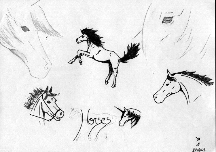 Fonds d'cran Art - Crayon Animaux - Chevaux portrait chevaux n4