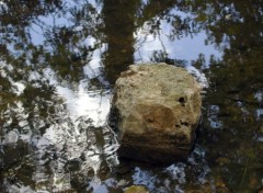 Fonds d'cran Nature Reflets