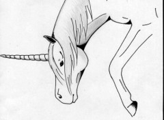 Wallpapers Art - Pencil Licorne