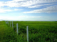 Fonds d'cran Nature Blanche cloture et bleu ciel