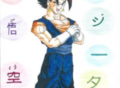 Fonds d'cran Art - Crayon gogeta