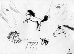 Wallpapers Art - Pencil portrait chevaux n4