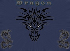 Fonds d'cran Art - Numrique Dragon tribal