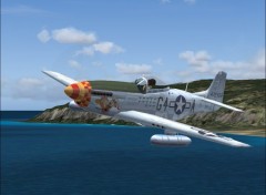 Fonds d'cran Jeux Vido P51 Mustang