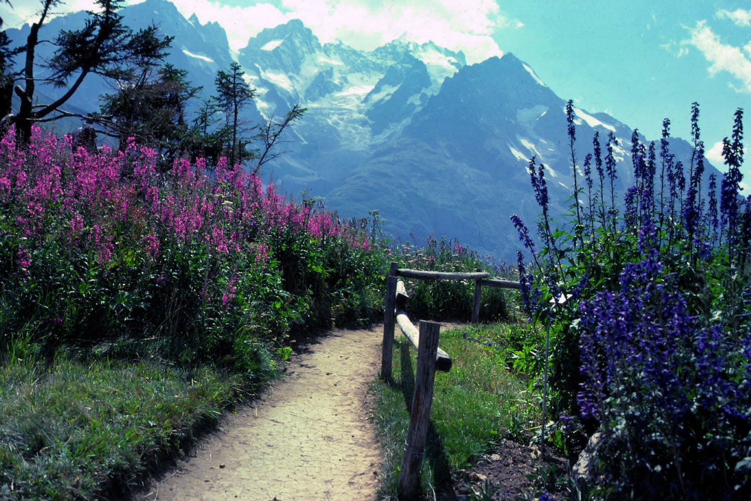 Fonds d'cran Nature Montagnes Les Ecrins