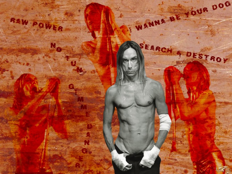 Wallpapers Music Iggy Pop Priode Stooges