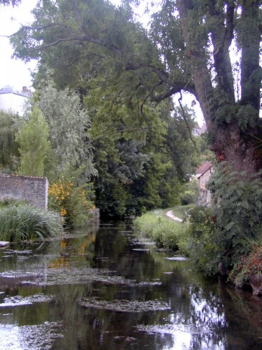 Fonds d'cran Nature Fleuves - Rivires - Torrents Le Fusain