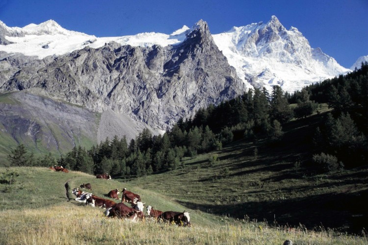 Wallpapers Nature Mountains Les Ecrins