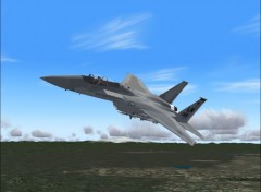 Wallpapers Video Games F15 Eagle