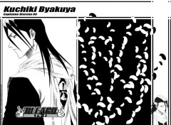 Wallpapers Manga Ruthay Bleach Kuchiki Byakuya 01