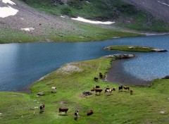 Fonds d'cran Nature Les Ecrins