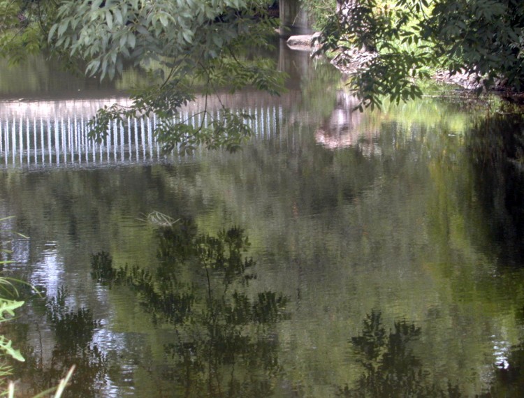 Wallpapers Nature Water - Reflection Reflets