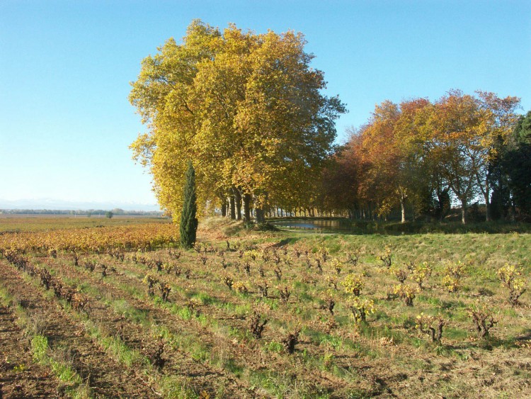 Fonds d'cran Voyages : Europe France > Languedoc-Roussillon Languedoc, Roussillon