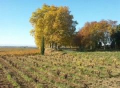 Fonds d'cran Voyages : Europe Languedoc, Roussillon