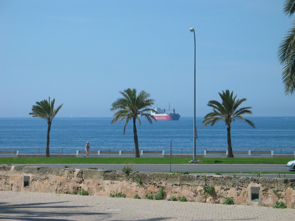 Wallpapers Nature Seas - Oceans - Beaches playa de palma de majorques