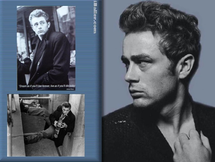 Fonds d'cran Clbrits Homme James Dean James Dean