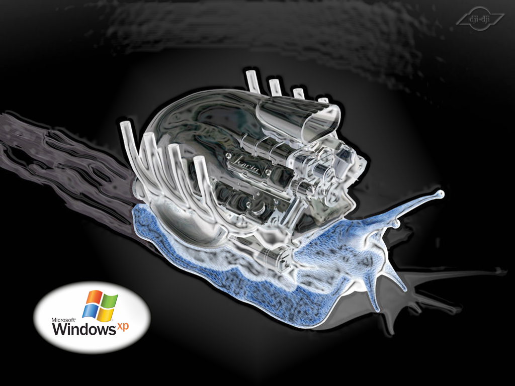 Fonds d'cran Informatique Windows XP win-xp escargot gonfl