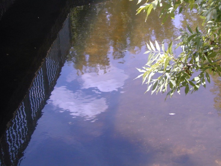 Wallpapers Nature Water - Reflection Reflets