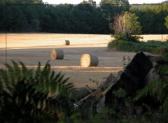 Fonds d'cran Nature Champ soleil couchant