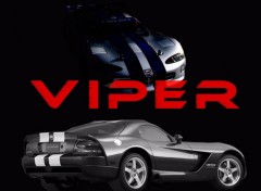 Fonds d'cran Voitures Viper