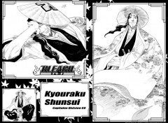 Wallpapers Manga Ruthay Bleach Kyouraku Shunsui 01