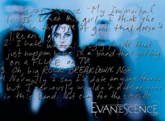 Fonds d'cran Musique Evanescence