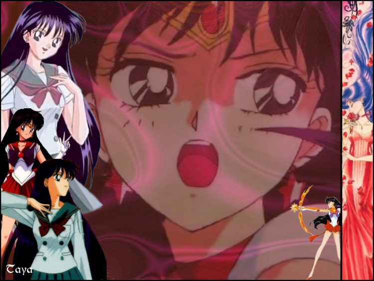 Fonds d'cran Manga Sailor Moon Wallpaper N110514