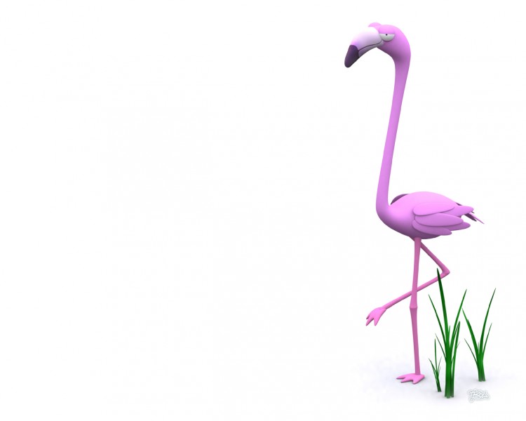 Wallpapers Digital Art Animals flamand rose