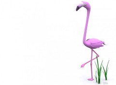 Wallpapers Digital Art flamand rose