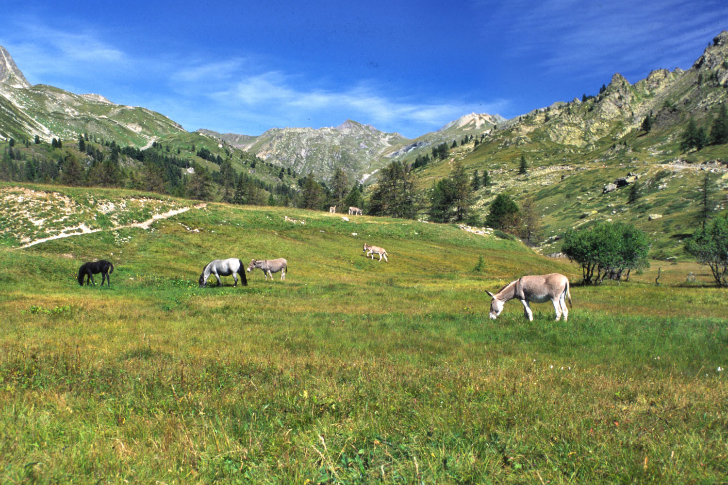 Wallpapers Nature Mountains Le Brianonnais