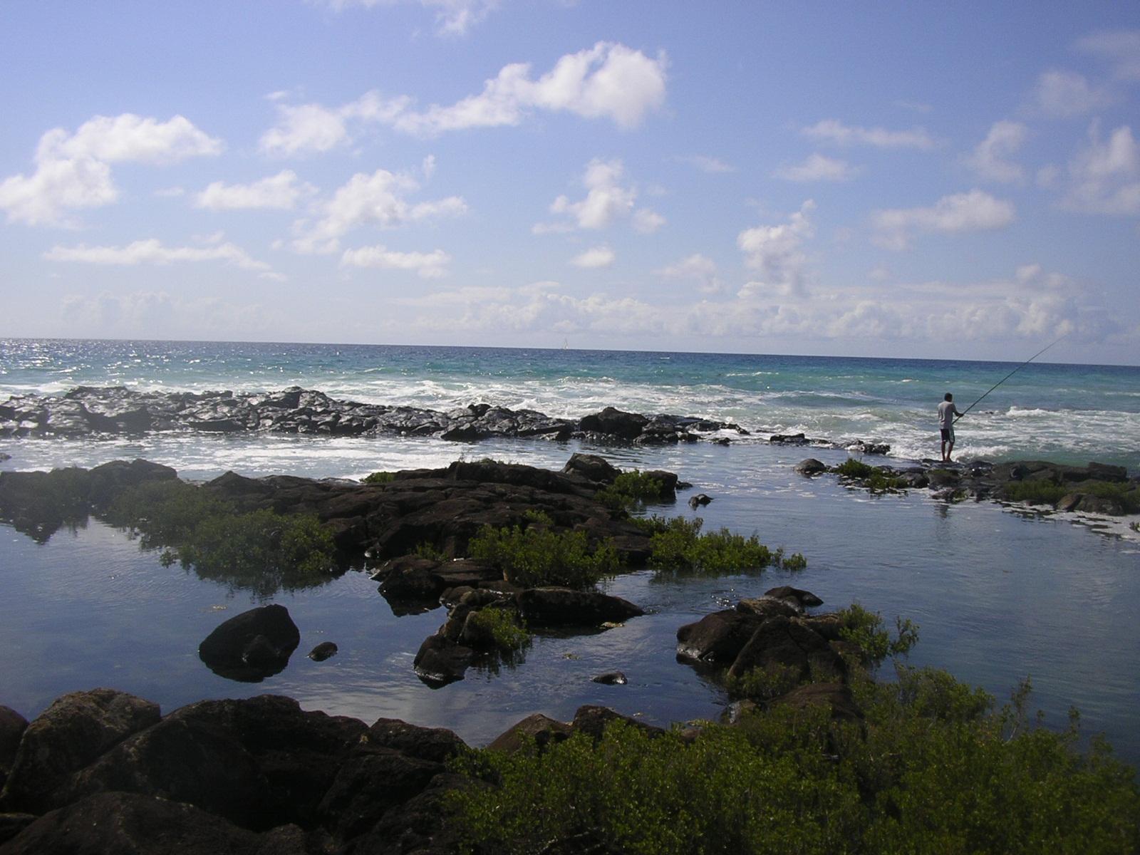 Fonds d'cran Nature Mers - Ocans - Plages L'ile Maurice simplement