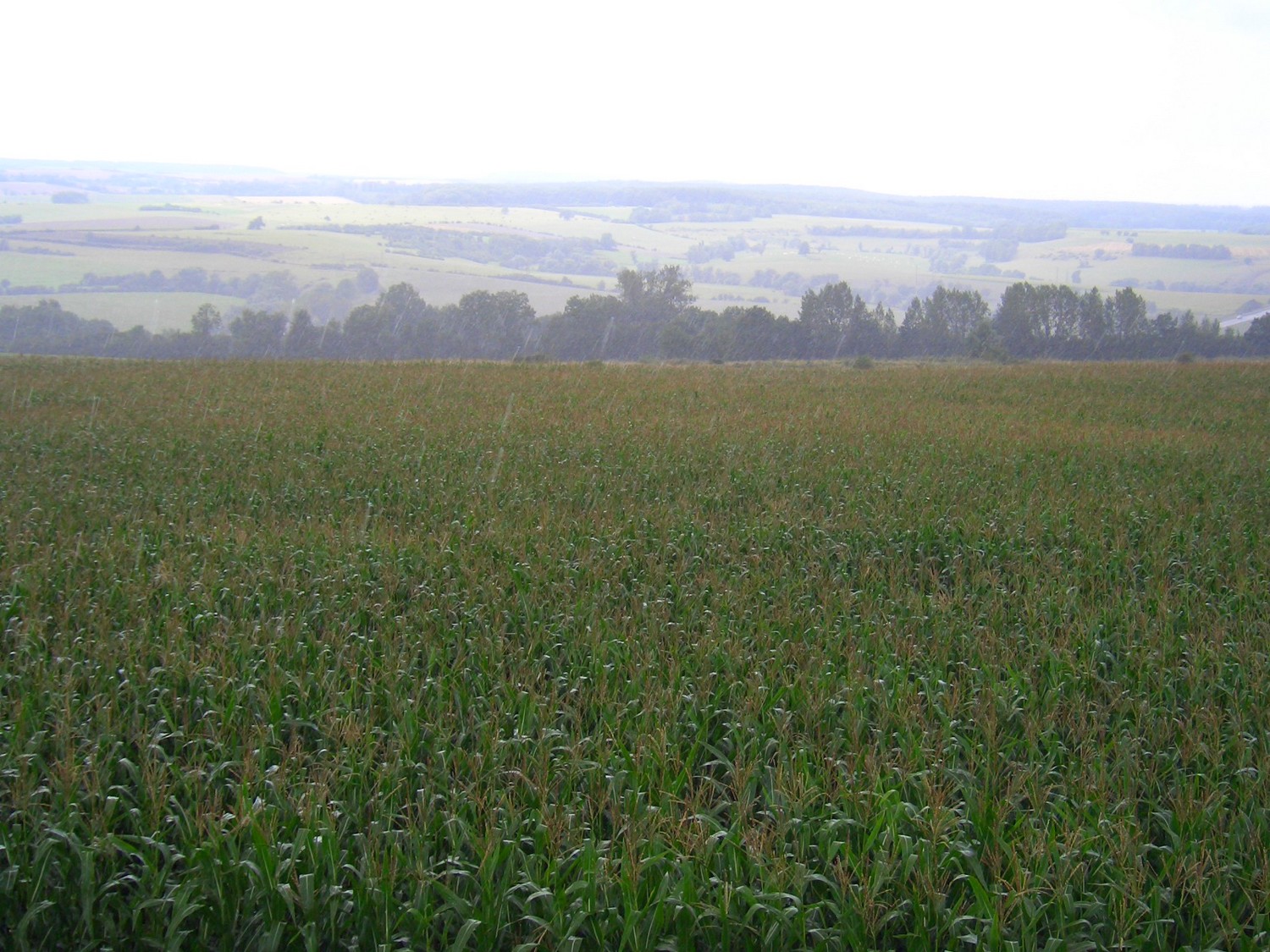 Fonds d'cran Nature Paysages 