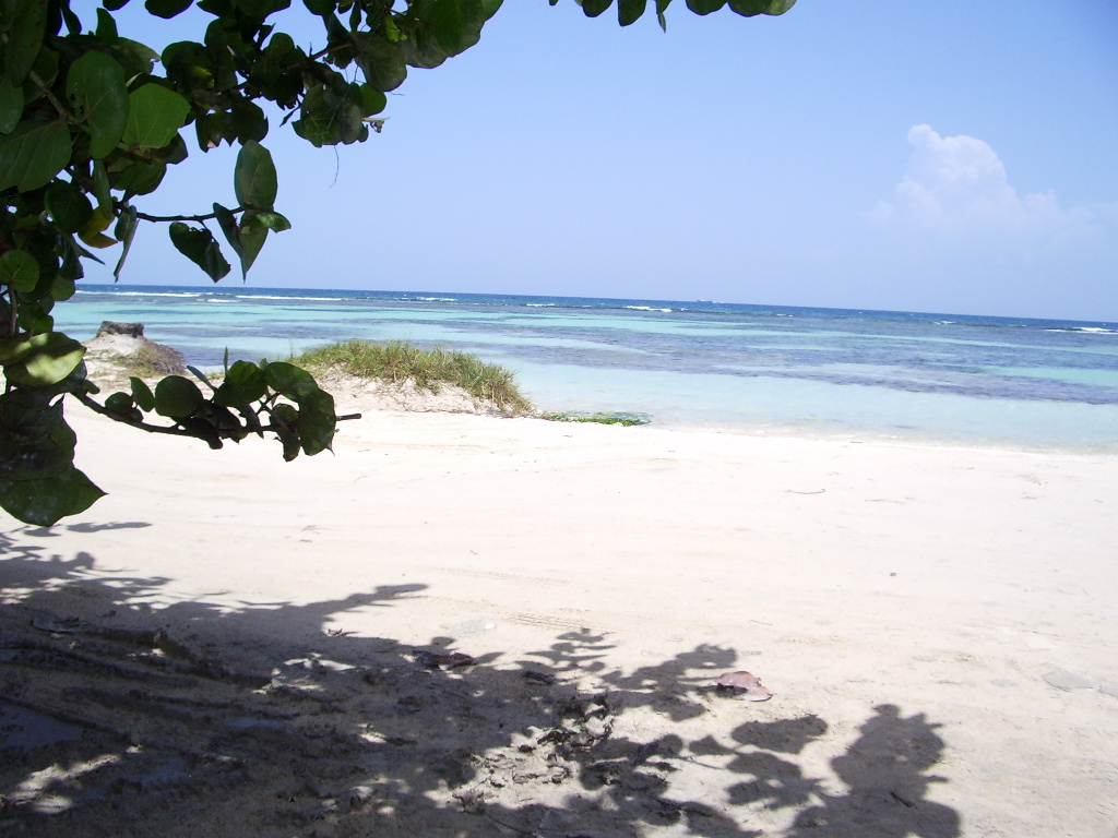 Fonds d'cran Nature Mers - Ocans - Plages 