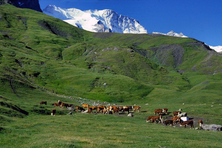 Wallpapers Nature Mountains Les Ecrins