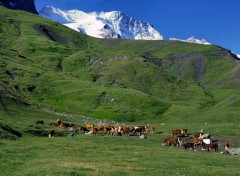 Wallpapers Nature Les Ecrins