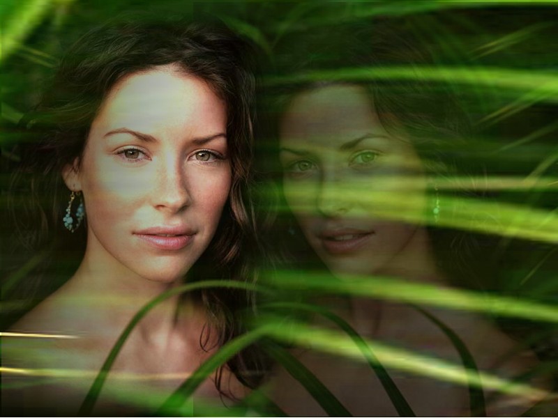 Fonds d'cran Clbrits Femme Evangeline Lilly 