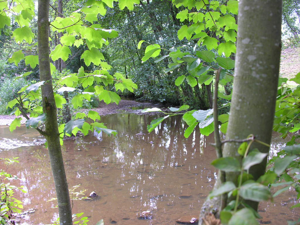 Fonds d'cran Nature Fleuves - Rivires - Torrents 