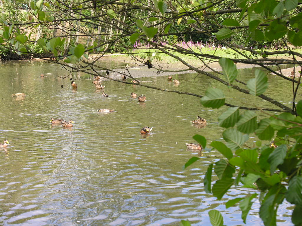 Fonds d'cran Nature Couchers et levers de Soleil 