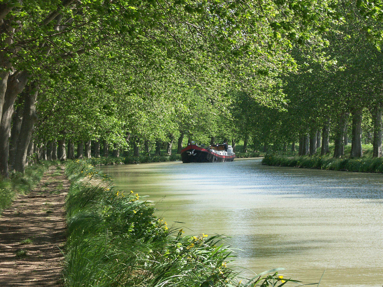 Fonds d'cran Nature Fleuves - Rivires - Torrents Languedoc, Roussillon