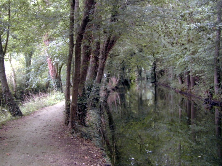 Fonds d'cran Nature Fleuves - Rivires - Torrents Le Fusain +  le sentier des amoureux