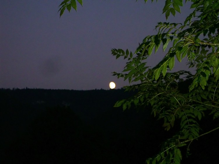 Fonds d'cran Espace Lune Lev de lune