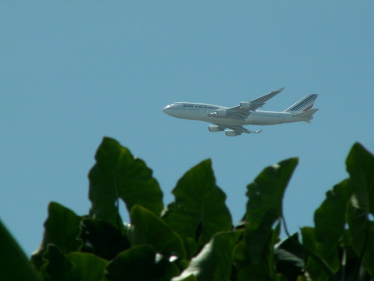 Wallpapers Planes Airliners Vol Paris Cayenne - Boeing 747