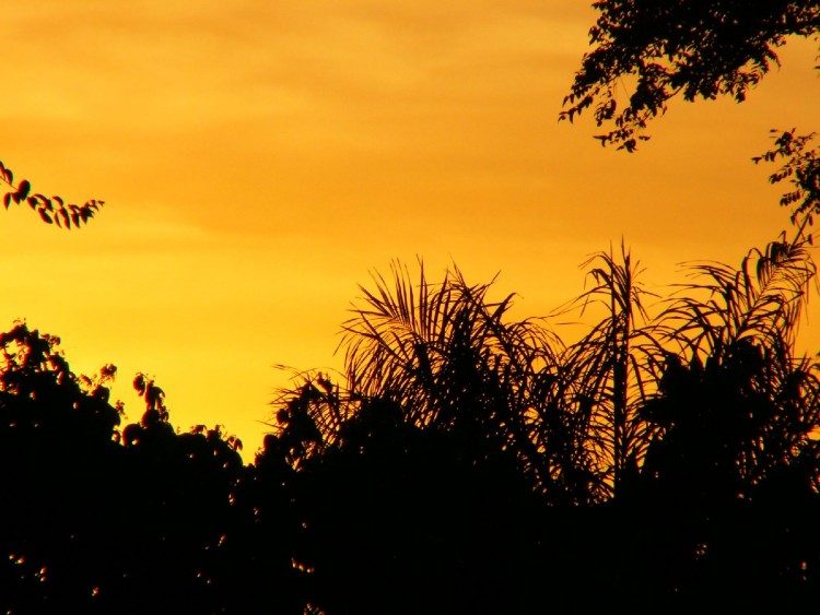 Fonds d'cran Nature Couchers et levers de Soleil Ciel de feux