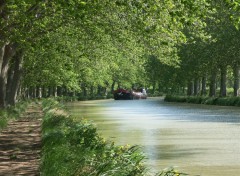 Fonds d'cran Nature Languedoc, Roussillon