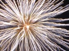 Wallpapers People - Events feux d'artifice: mdus