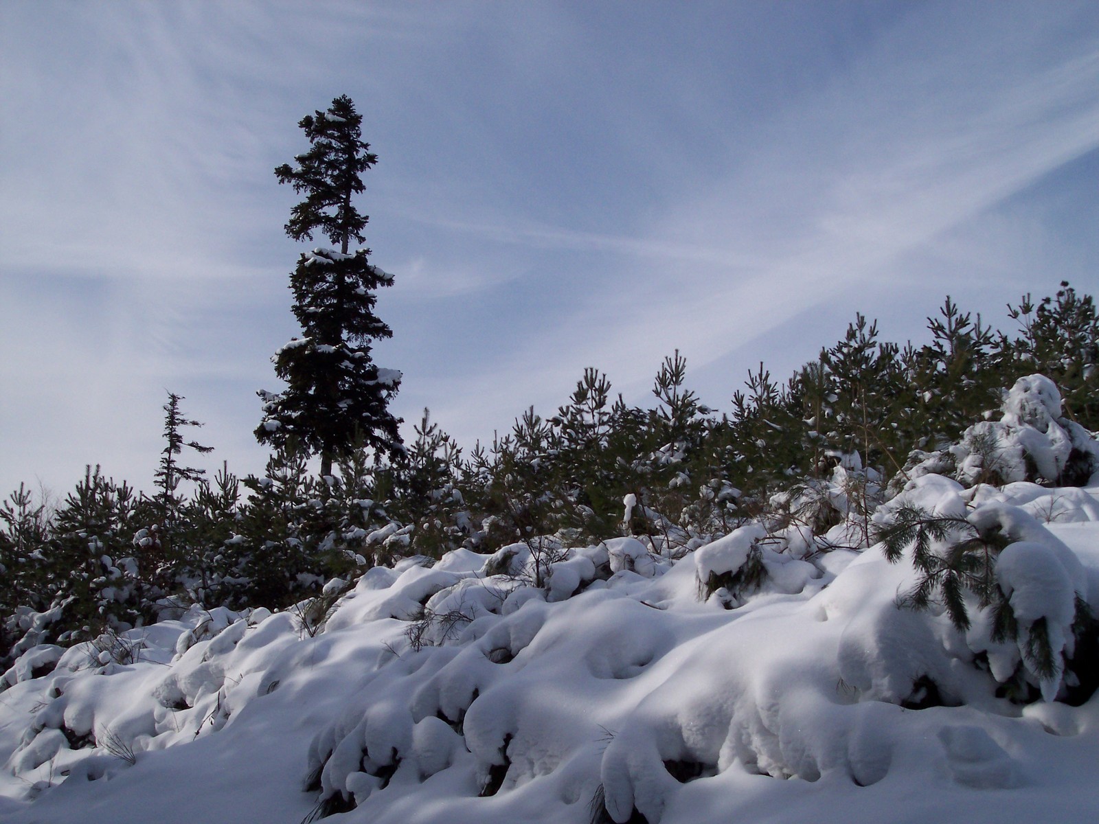 Fonds d'cran Nature Saisons - Hiver Neige en Alsace